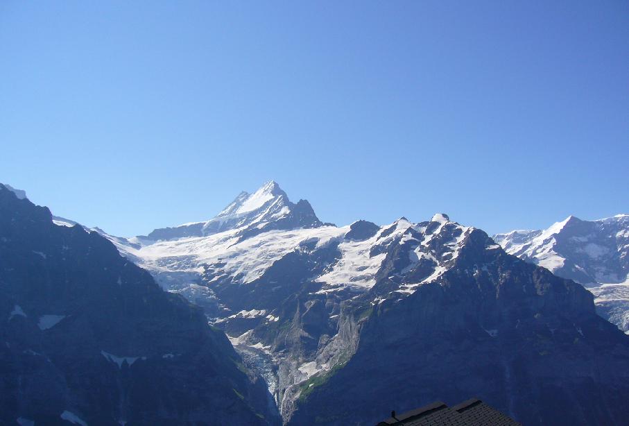 Grindelwald(1)