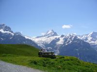 Grindelwald(2)