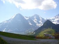 Grindelwald(3)