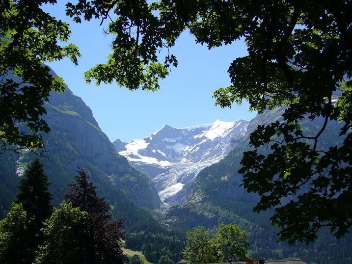 View From Grindelwald