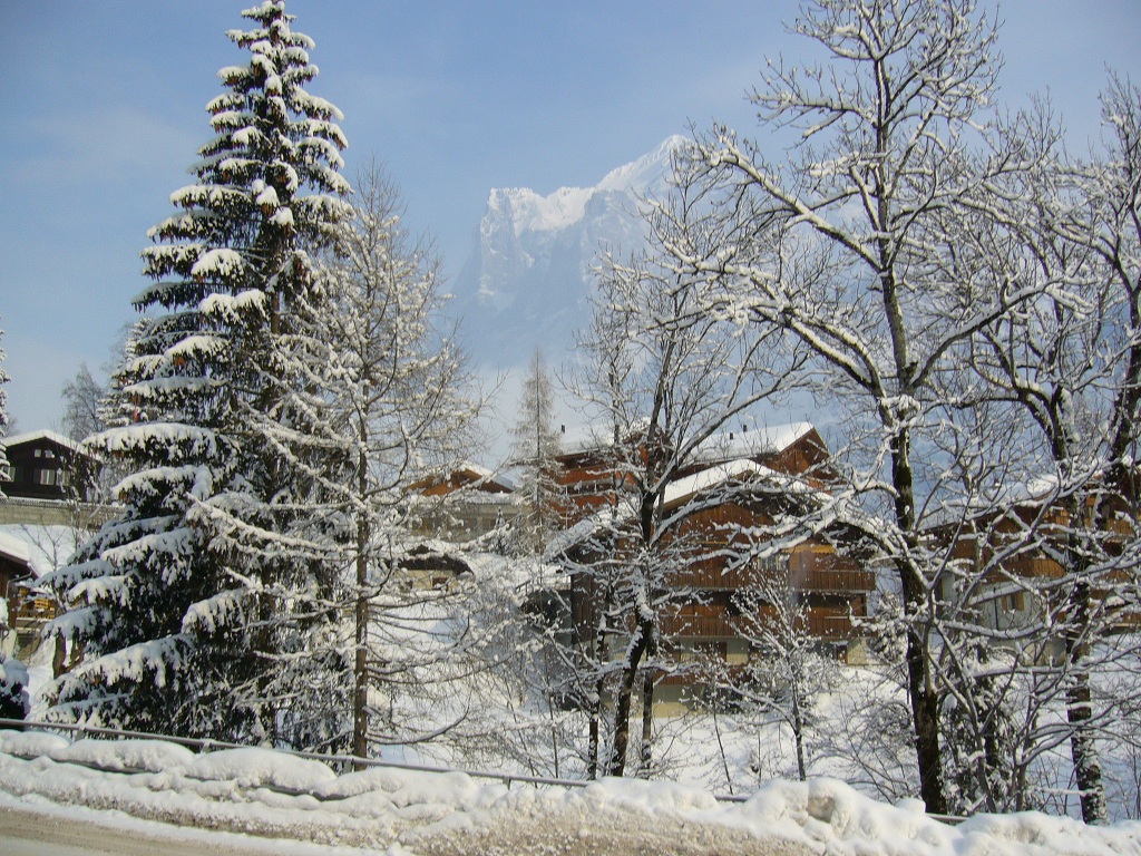 Wetterhorn from Terrassenweg